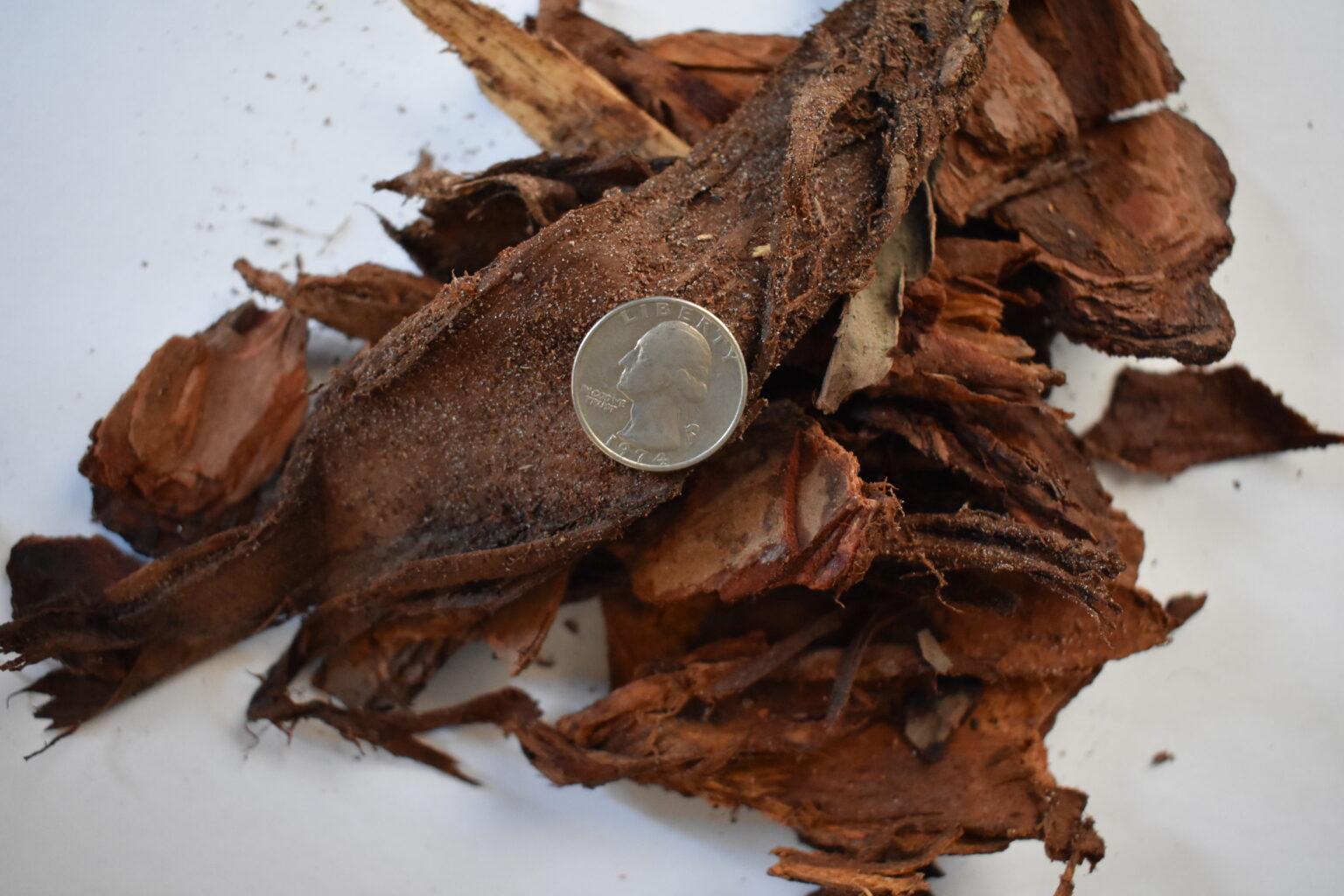 Pine Nugget Bagged Mulch Columbus, OH Kurtz Bros Central Ohio